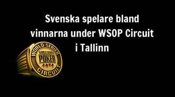 Bild på en guldring från WSOP Circuit samt texten "Svenska spelare bland vinnarna under WSOP Circuit Tallinn"